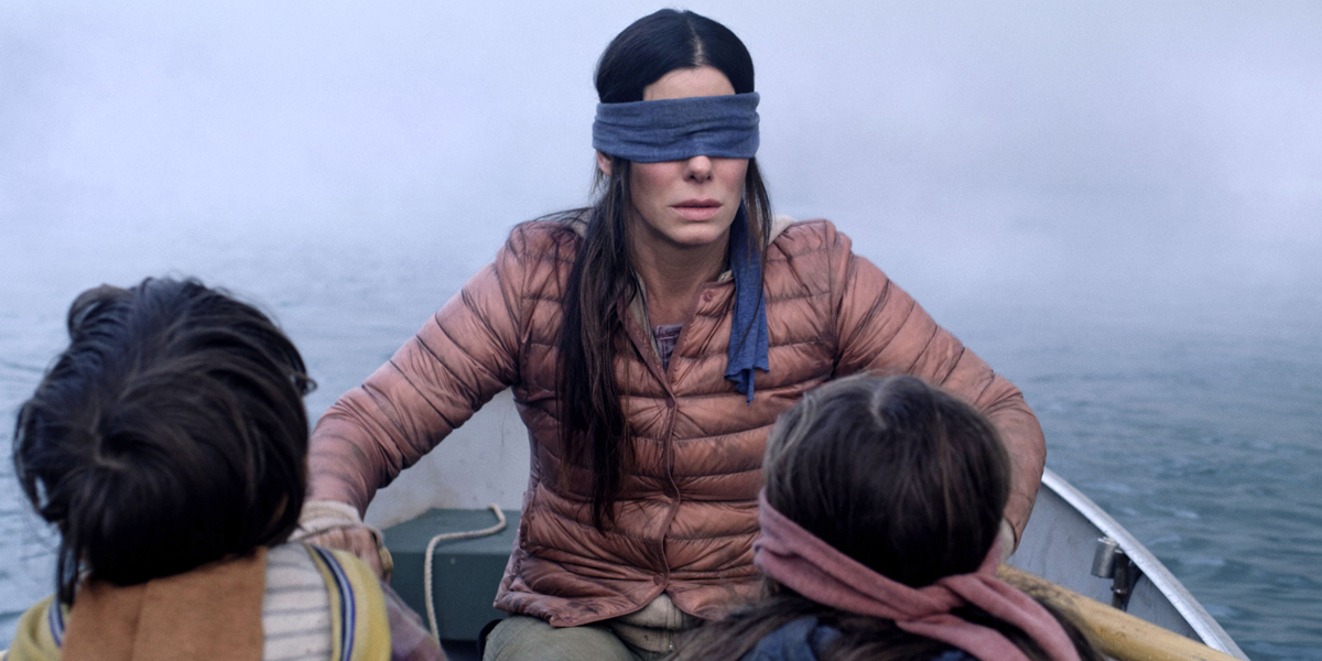 Bird box